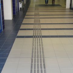 AISI 316L P-PVC R12 guiding strips
