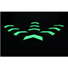 Arrow glowing in the dark (10 pieces)